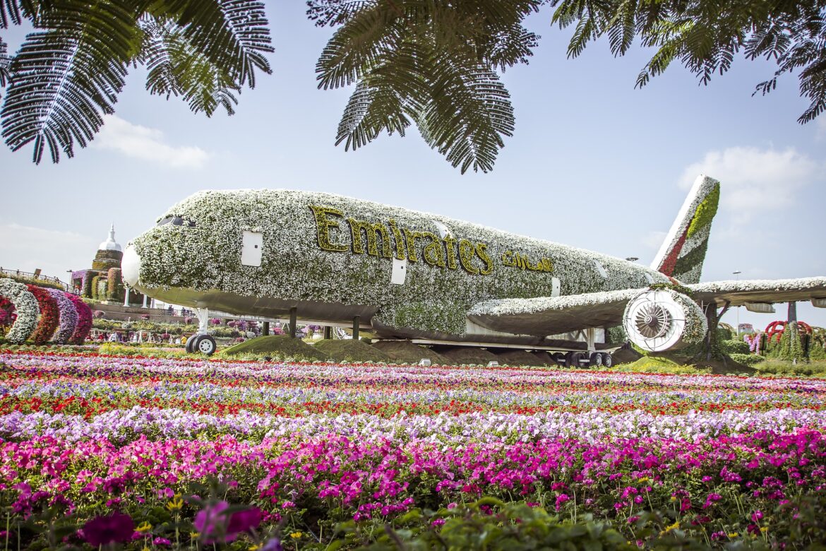 Visitez le Miracle Garden à Dubaï Miracle Garden à Dubaï